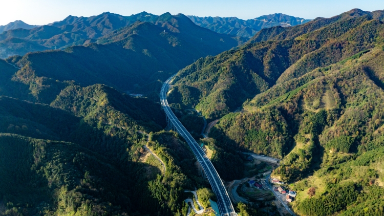 20251229102450.jpg 7c0ae3e402b5a3f17df6b5f3a4fc5a1e.jpg